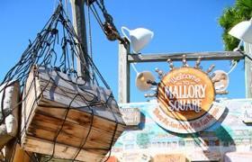 Mallory Square has lots of food and entertainment